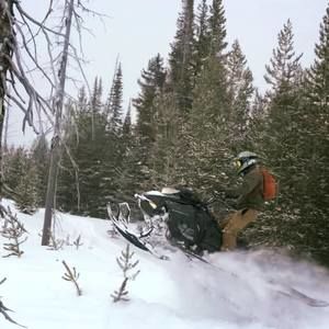 Meet your Posher, Seth